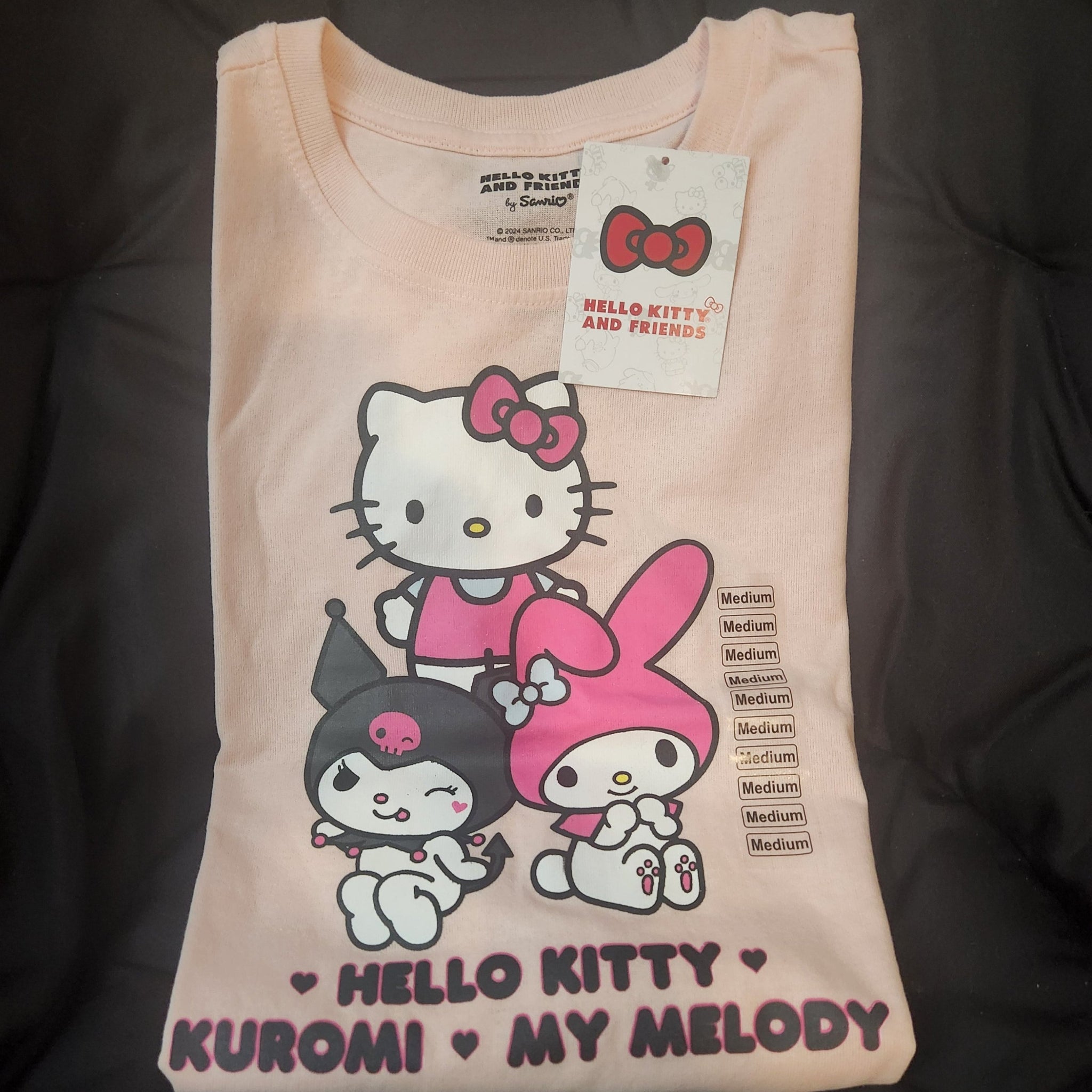 HELLO KITTY AND FRIENDS SHORT-SLEEVED T-SHIRT!